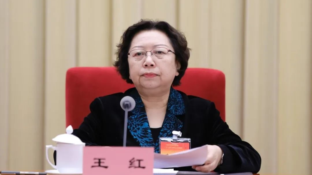 民革中央副主席王紅主持閉幕會(huì)