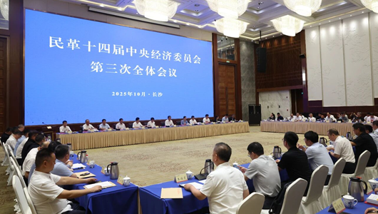 民革十四屆中央經(jīng)濟(jì)委員會第三次全體會議在長沙召開